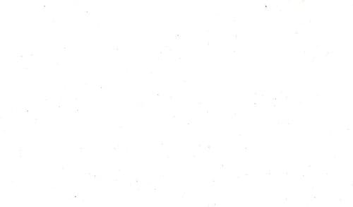 La spiaggia più bella